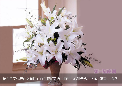 送百合花代表什么意思