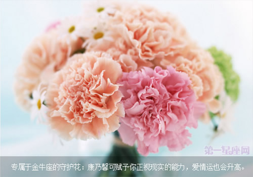 专属于金牛座的守护花