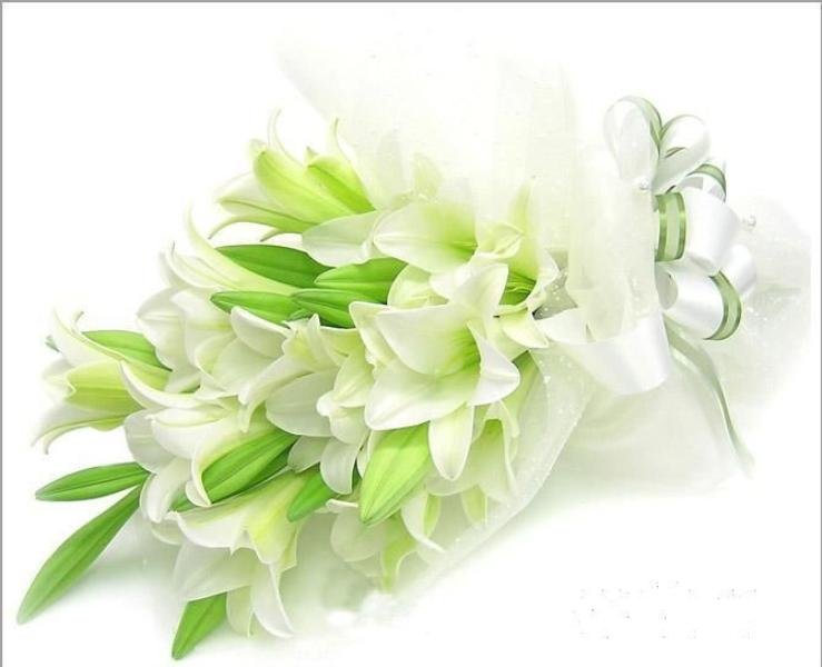 百合花的花语