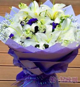 送什么花代表友谊？