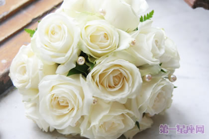 七夕送多少朵白玫瑰?七夕送几朵玫瑰合适?