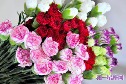 代表感恩的花语?什么花代表感恩!