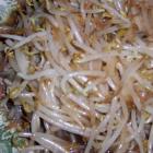 炒绿豆芽