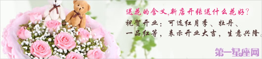送花的含义,新店开张送什么花好？