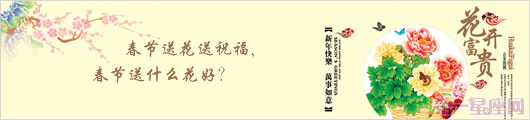 春节送花送祝福,春节送什么花好?