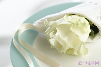 白玫瑰花语:一朵白玫瑰代表什么意思?