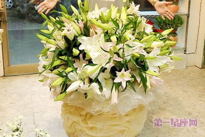 百合花语