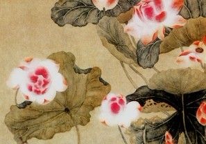 莲花