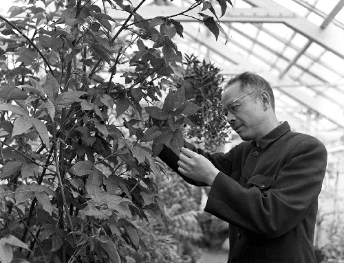 我国著名植物学家蔡希陶在昆明逝世(历史上今天lssjt.cn)
